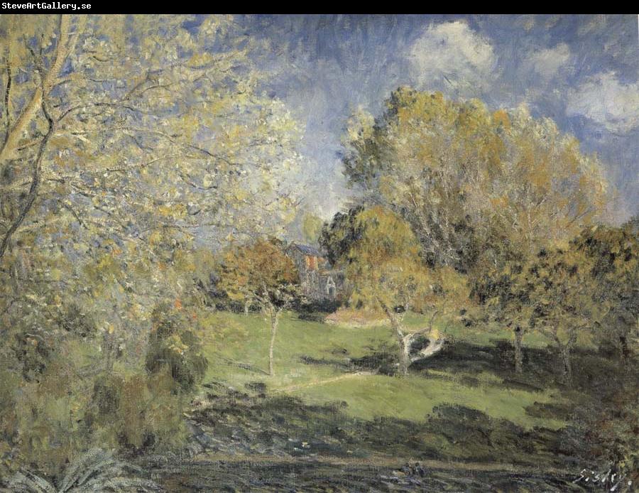 Alfred Sisley The Park